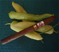 Rocky Patel Summer 2008